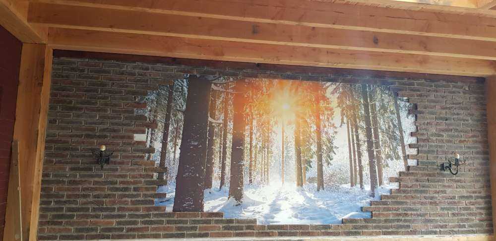 Sonnenlicht im Winterwald