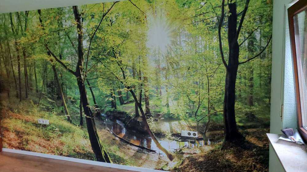 Wald mit Bach