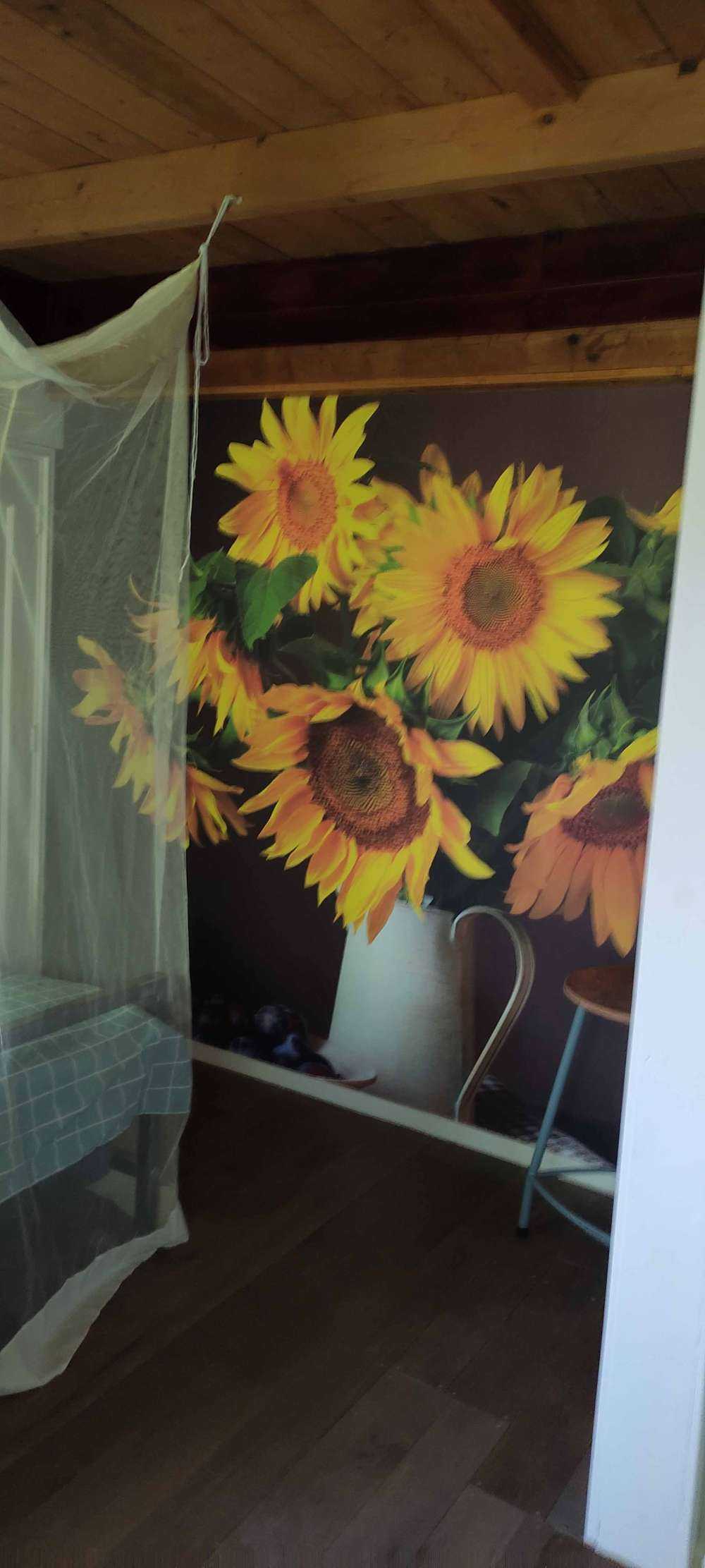 Sonnenblumen und Beeren
