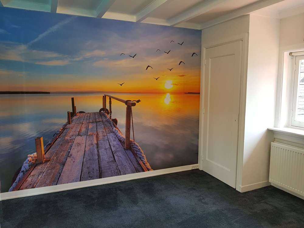 Vögel über dem See