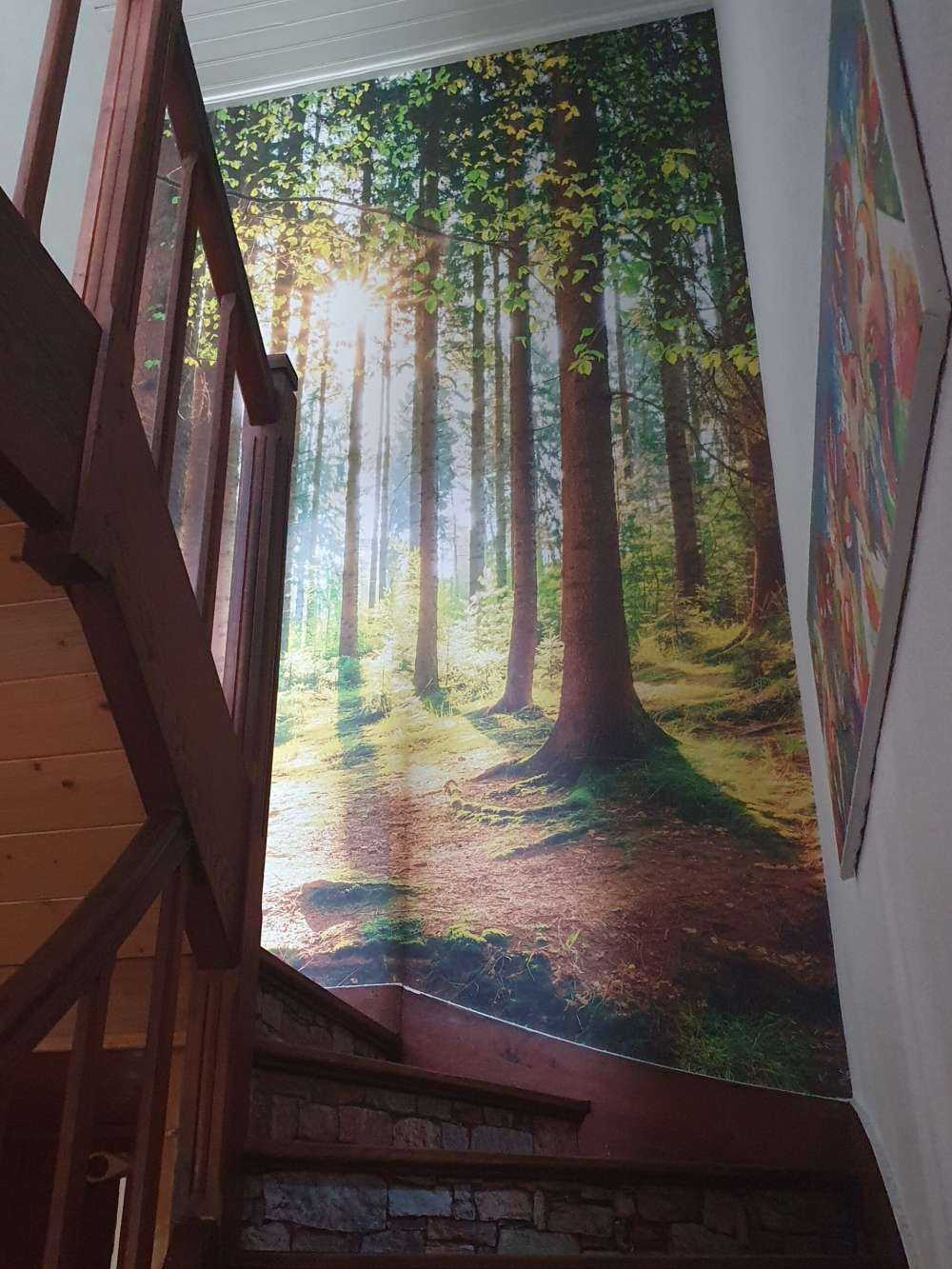 Sonnenaufgang im Wald