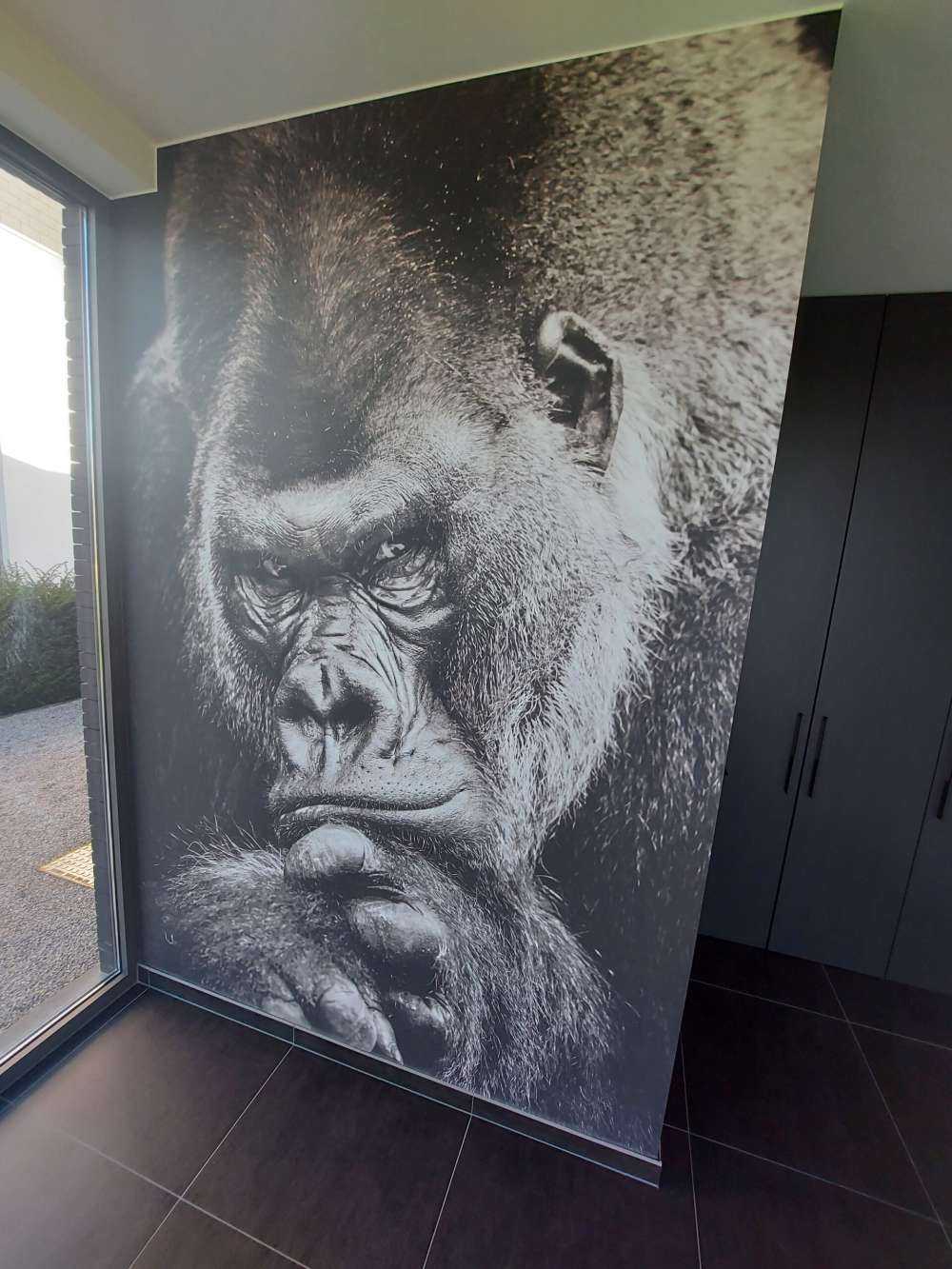 Nahaufnahme Gorilla