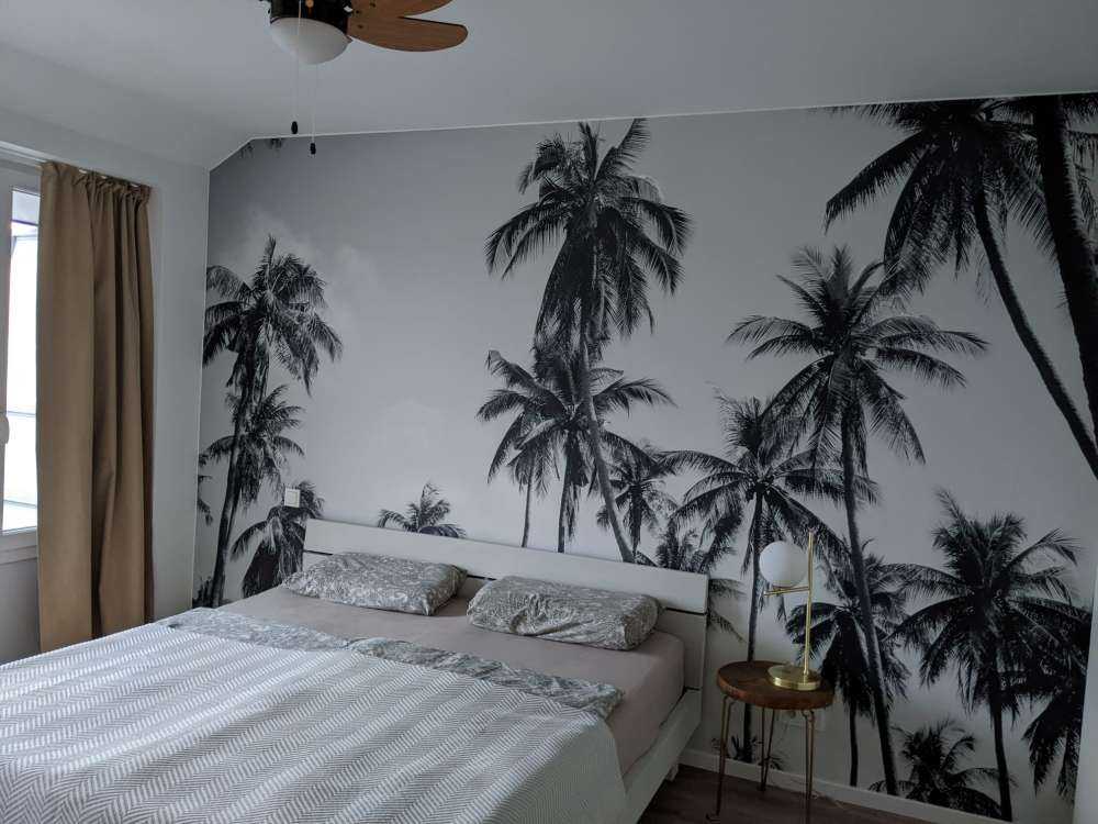 Palmen in Schwarz und Weiß