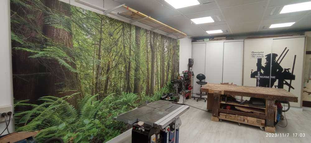 Weg mit Steinen durch den Wald 