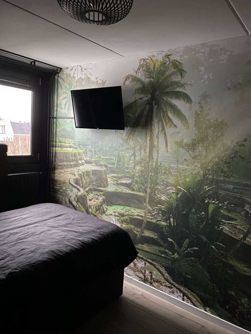 Reisfelder im Dschungel