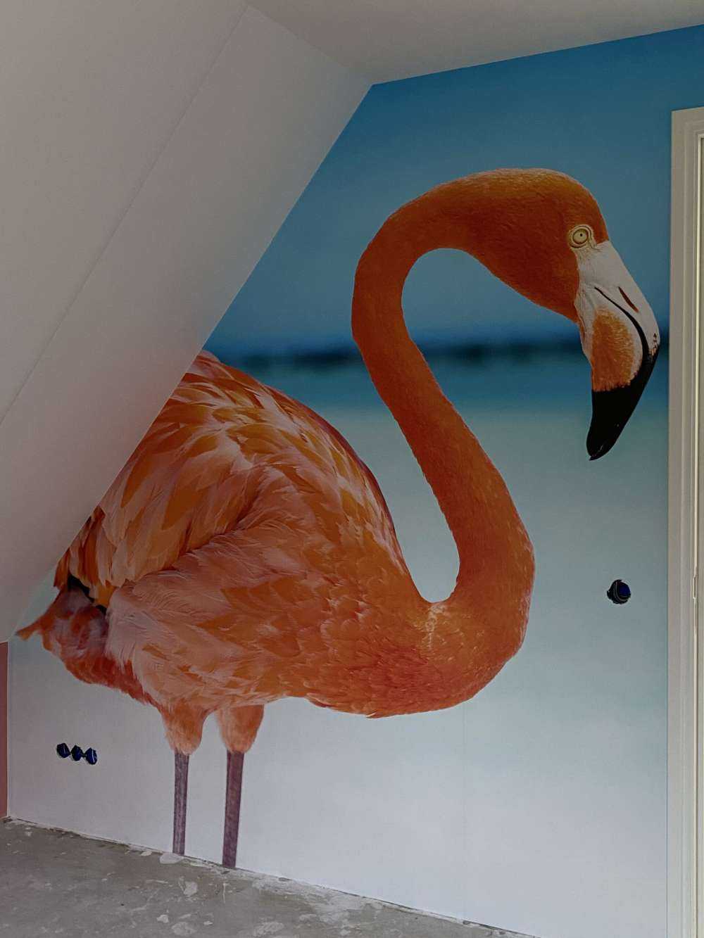 Tropischer Flamingo