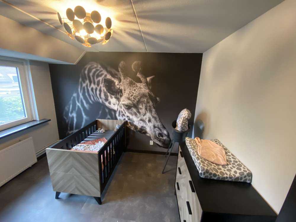 Giraffe