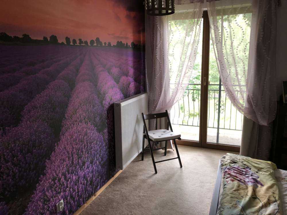 Feld mit Lavendel