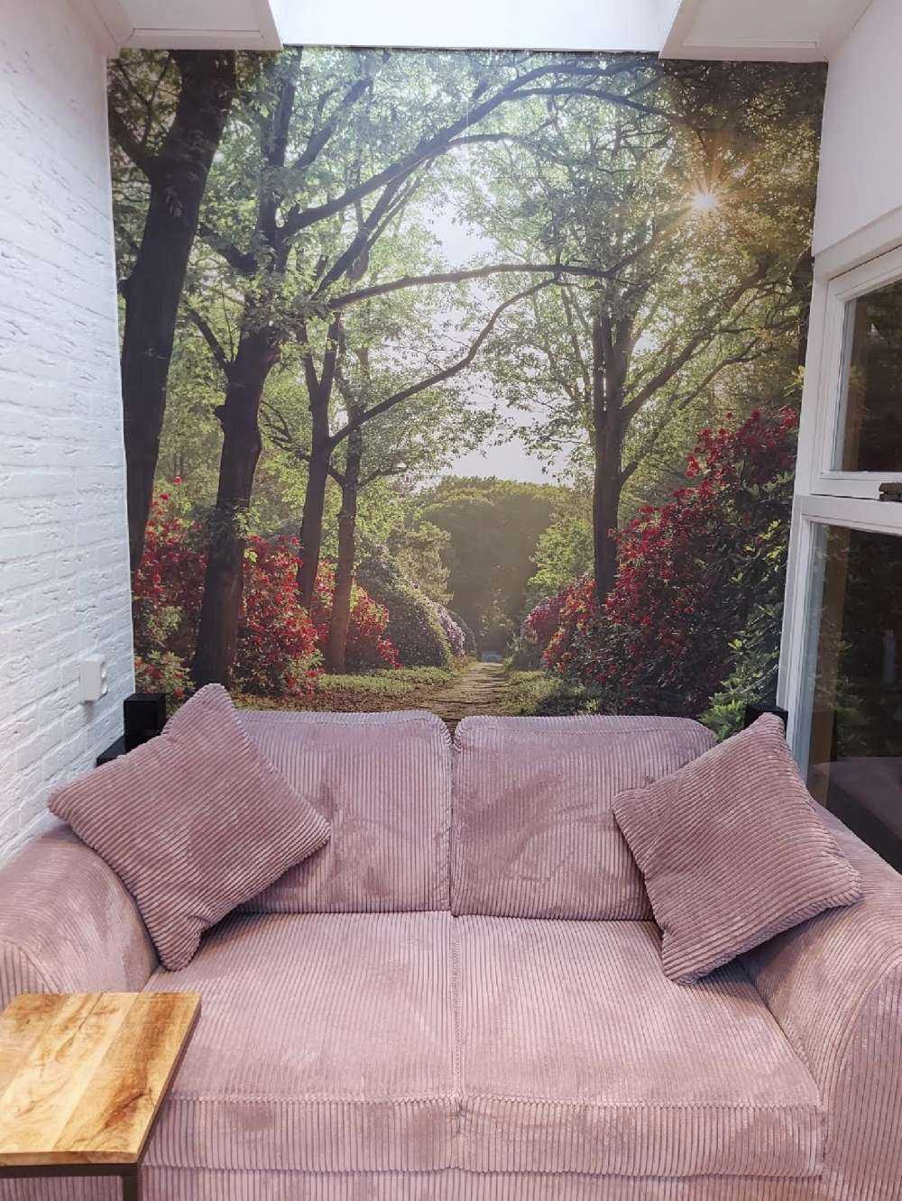 Sonnenaufgang am Pfad mit Rhododendren