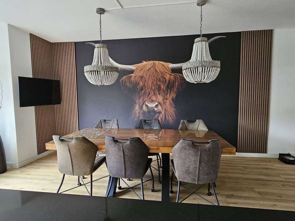 Schottischer Highlander auf dunklem Hintergrund