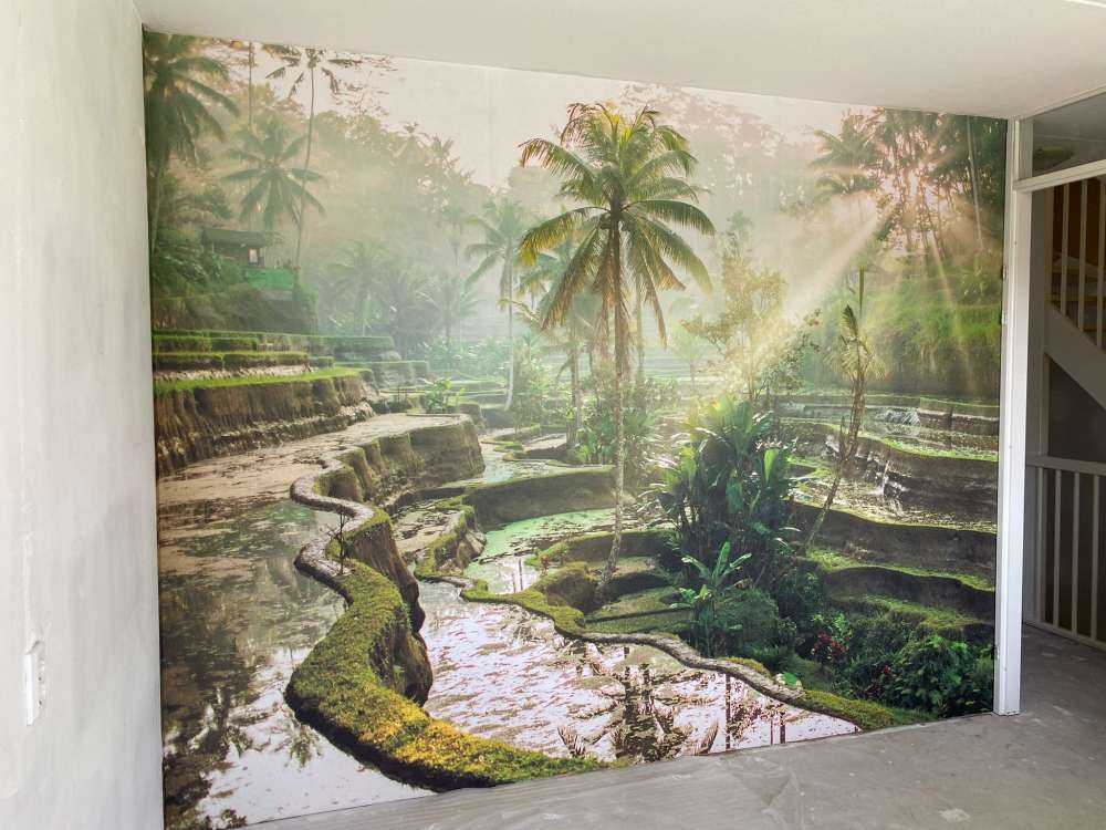 Reisfelder im Dschungel