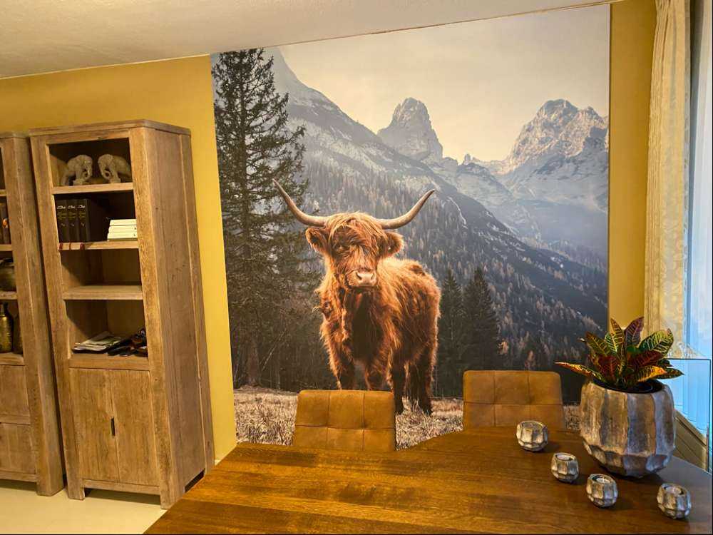 Schottischer Hochländer zwischen den Bäumen