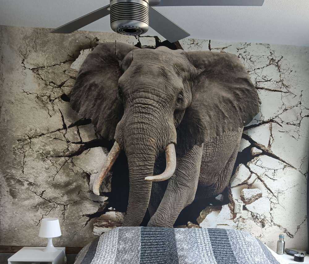 Großer Elefant aus der Wand