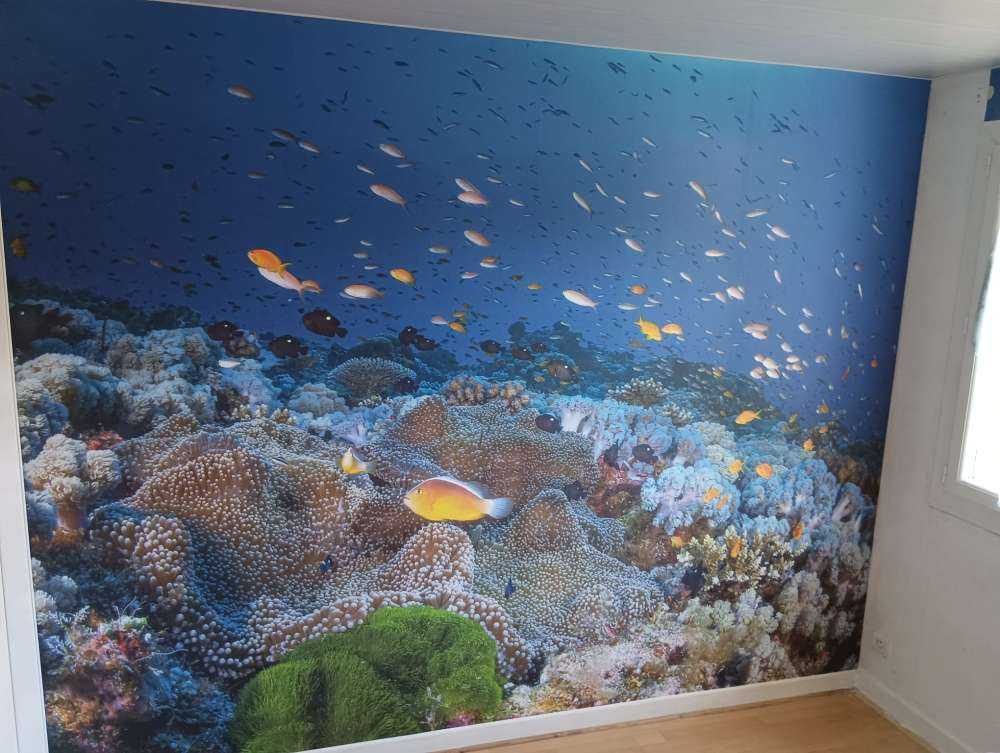 Anemon and Anthias