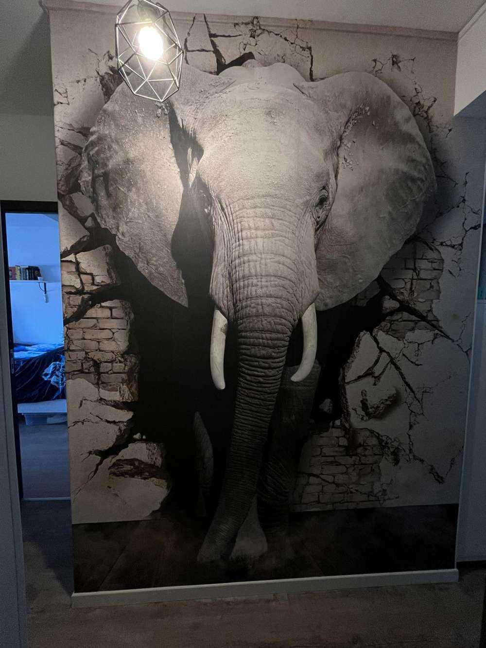 3D Elefant auf Fototapete