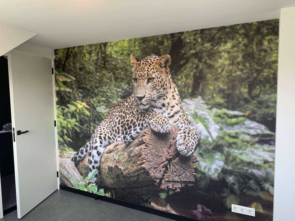 Leopard auf Baum