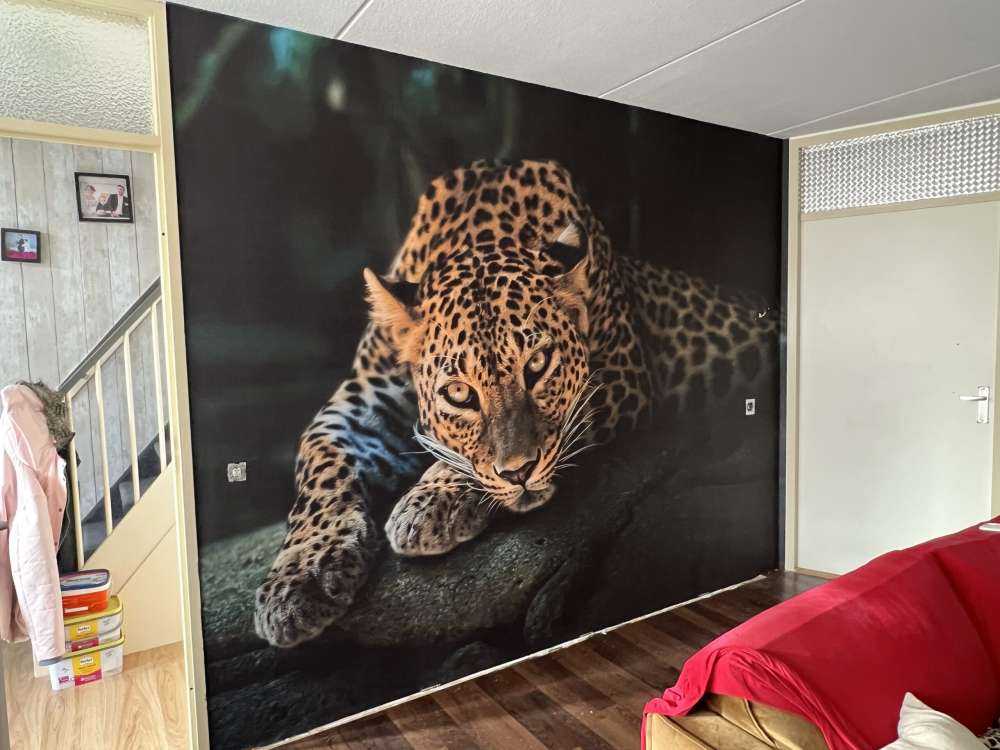 Panther im Wald