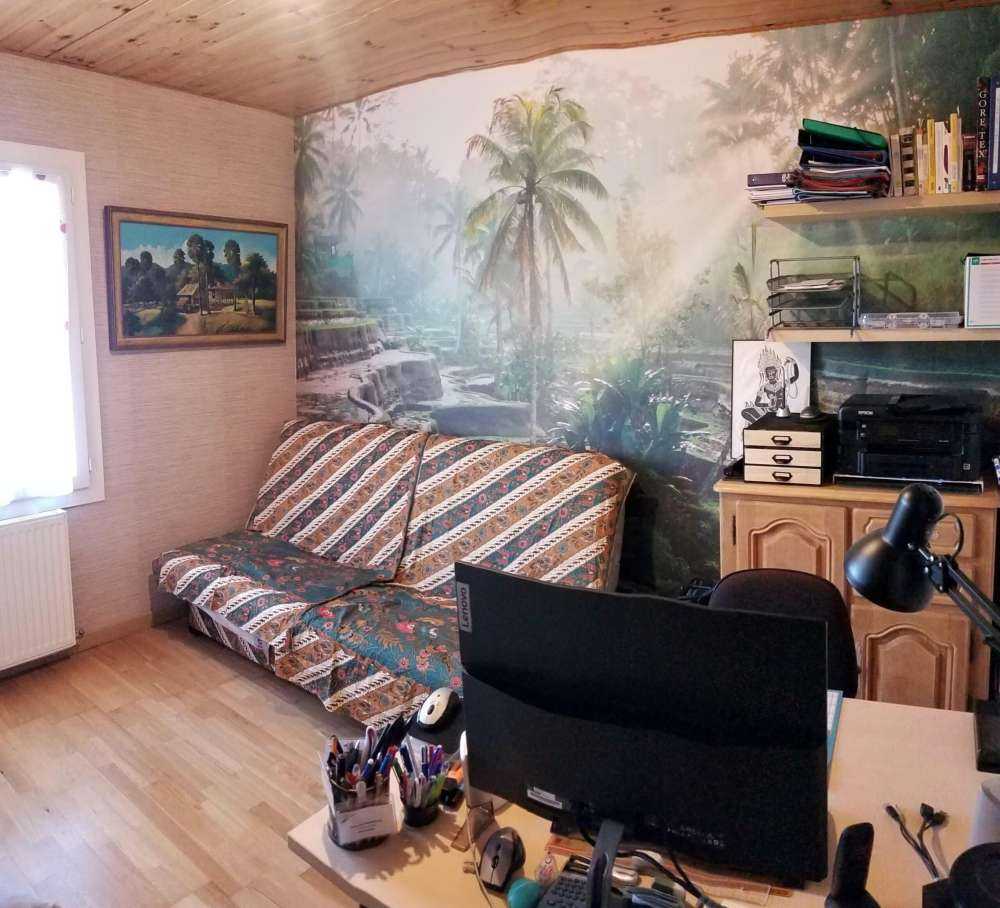 Reisfelder im Dschungel