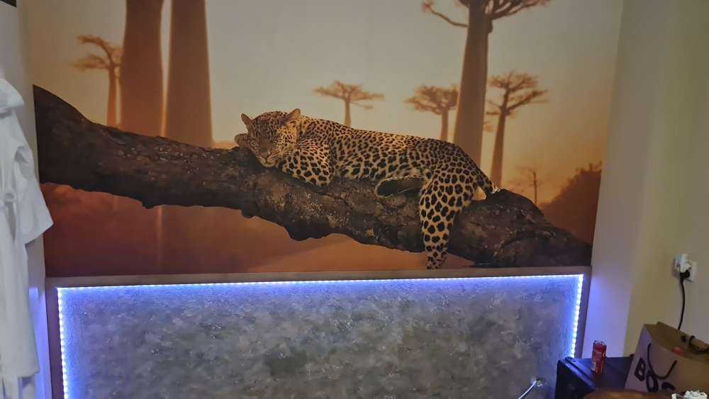 Schlafender Leopard