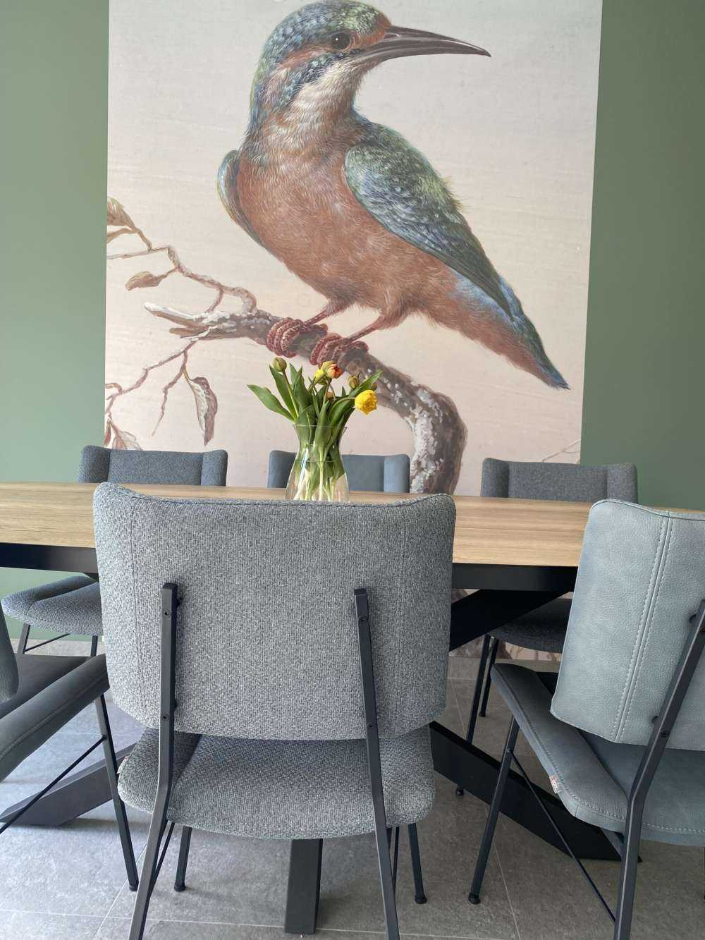 Eisvogel auf Fototapete