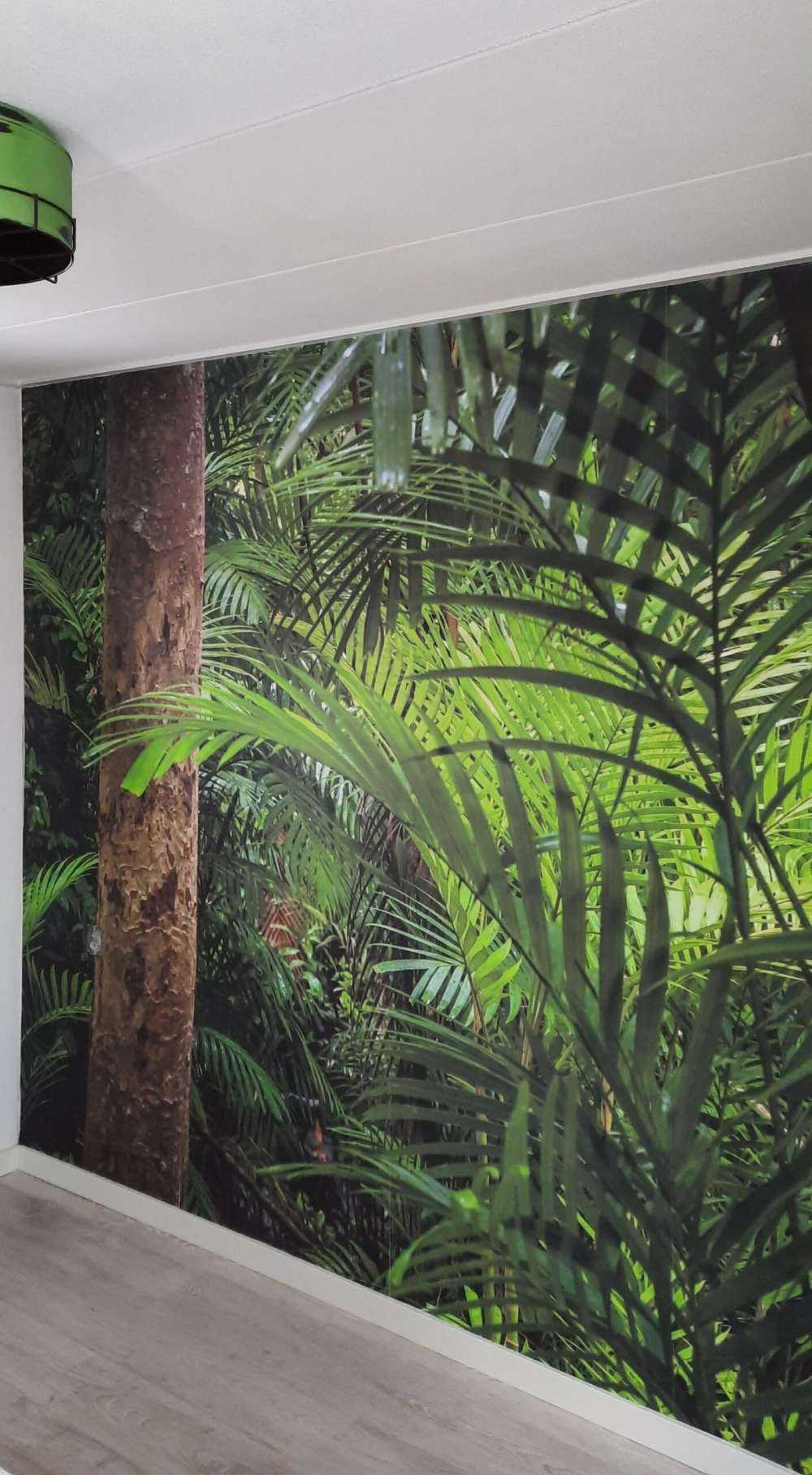 Tropischer Regenwald