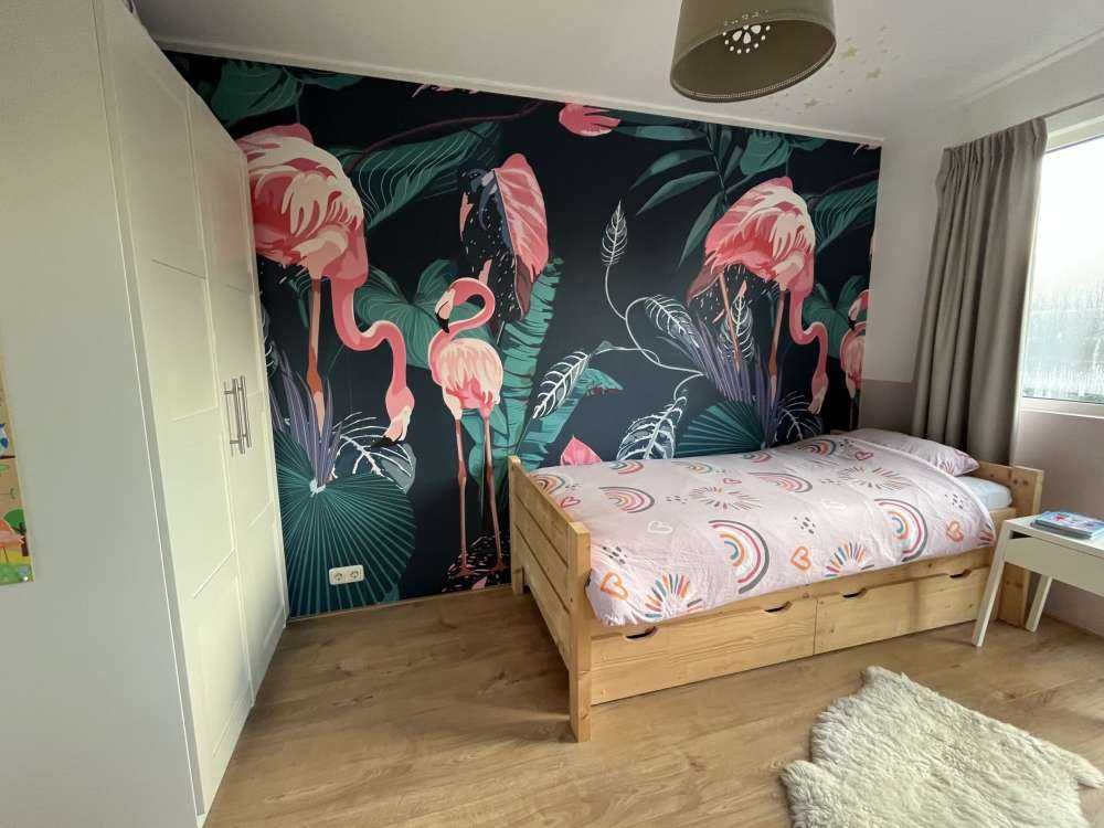 Wilde rosa Flamingos