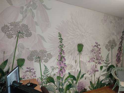 Foxglove Flowers