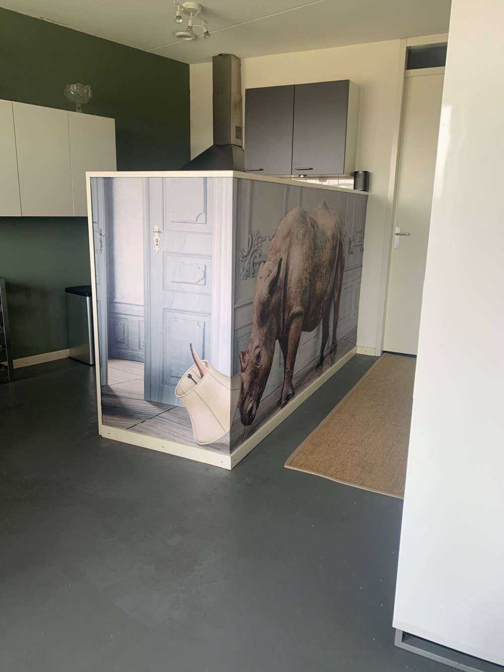 Rhinozeros mit Lampenschirm