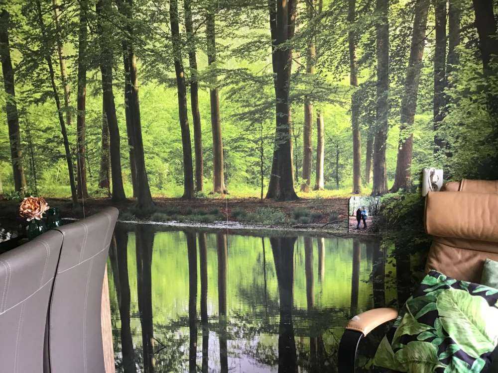Reflexion von Bäumen im Wasser