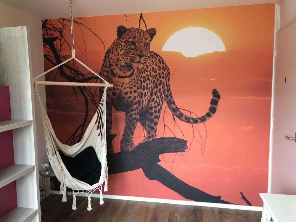Leopard mit untergehender Sonne