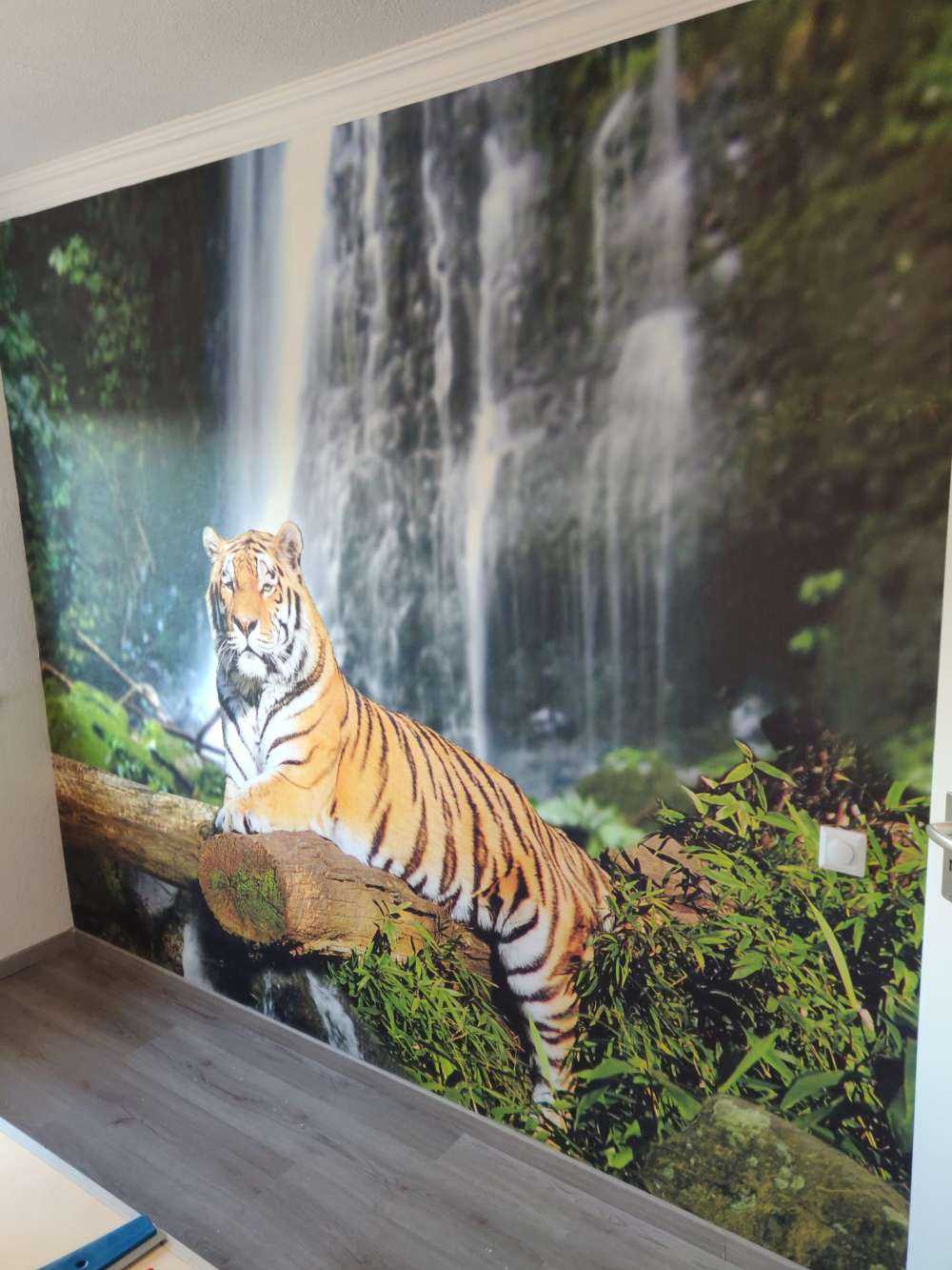 Tiger im Dschungel