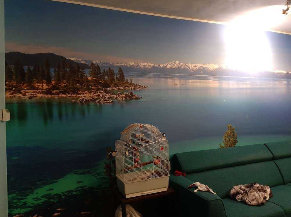 Klares Meer