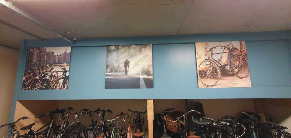 Radfahrer