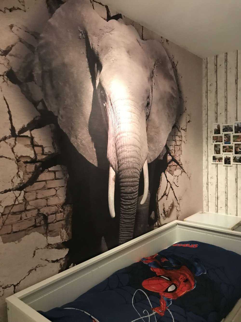 3D Elefant auf Fototapete