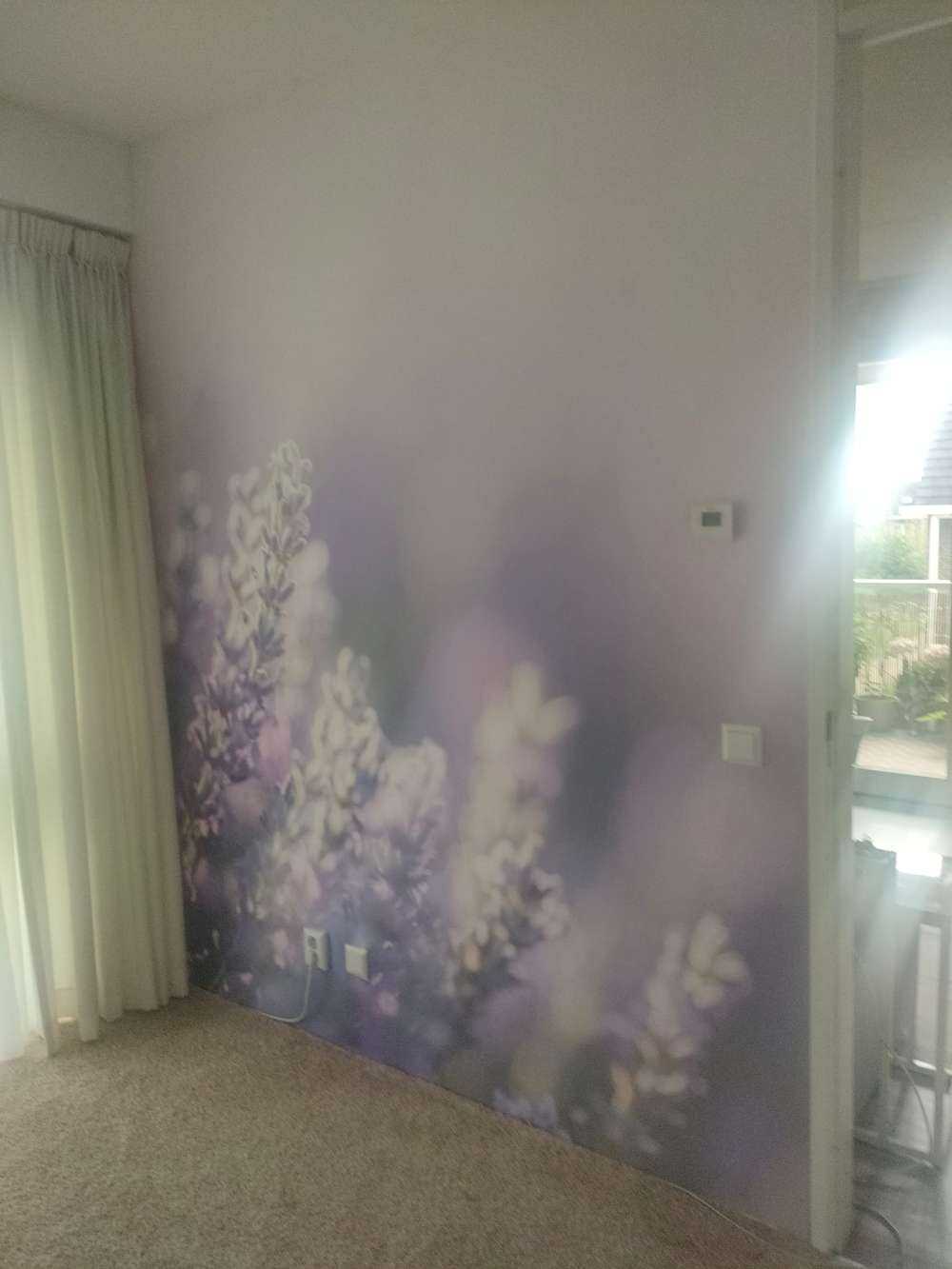 Verträumter Lavendel