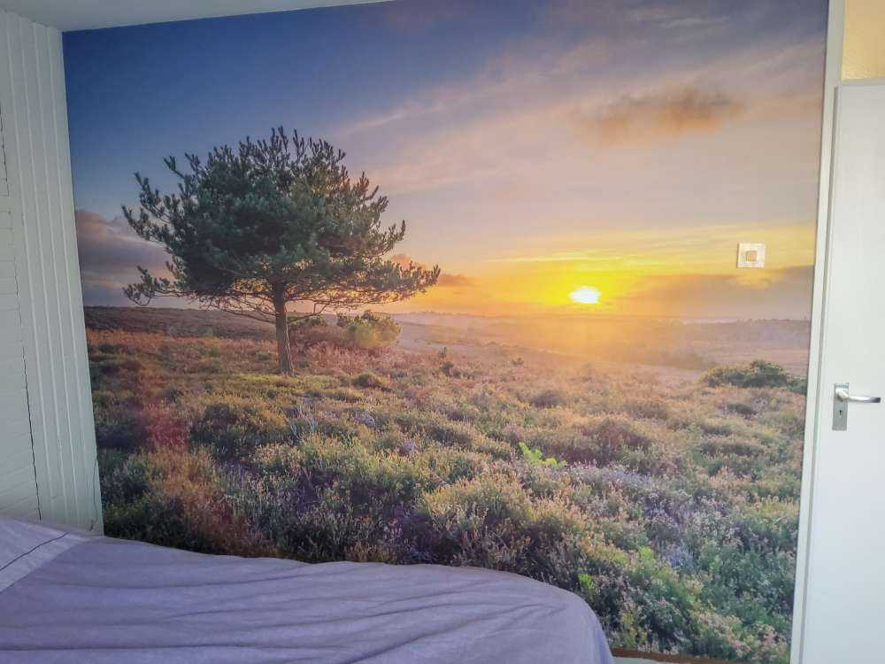 Sonnenuntergang in der Heidelandschaft