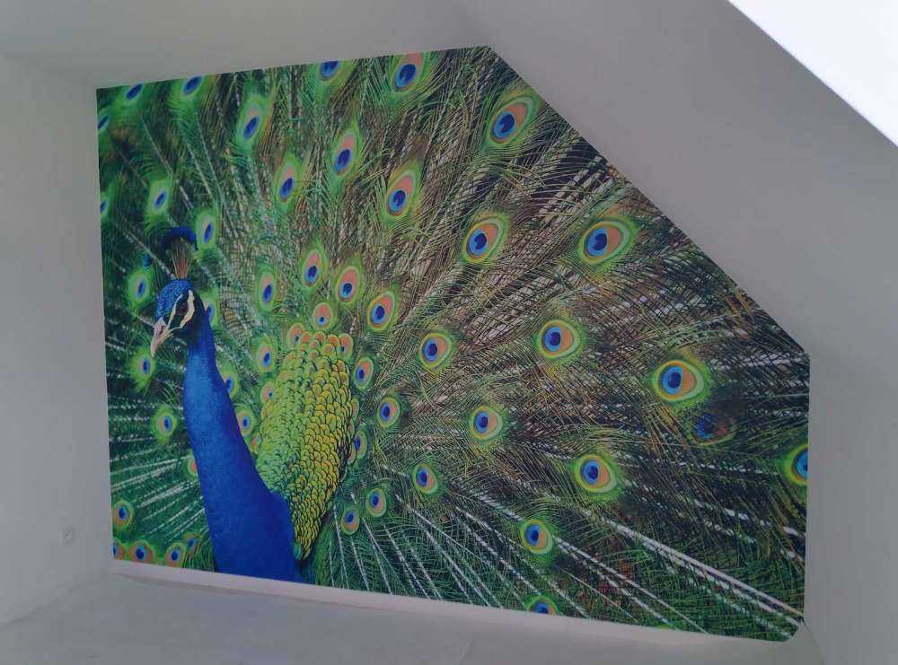 Pfau