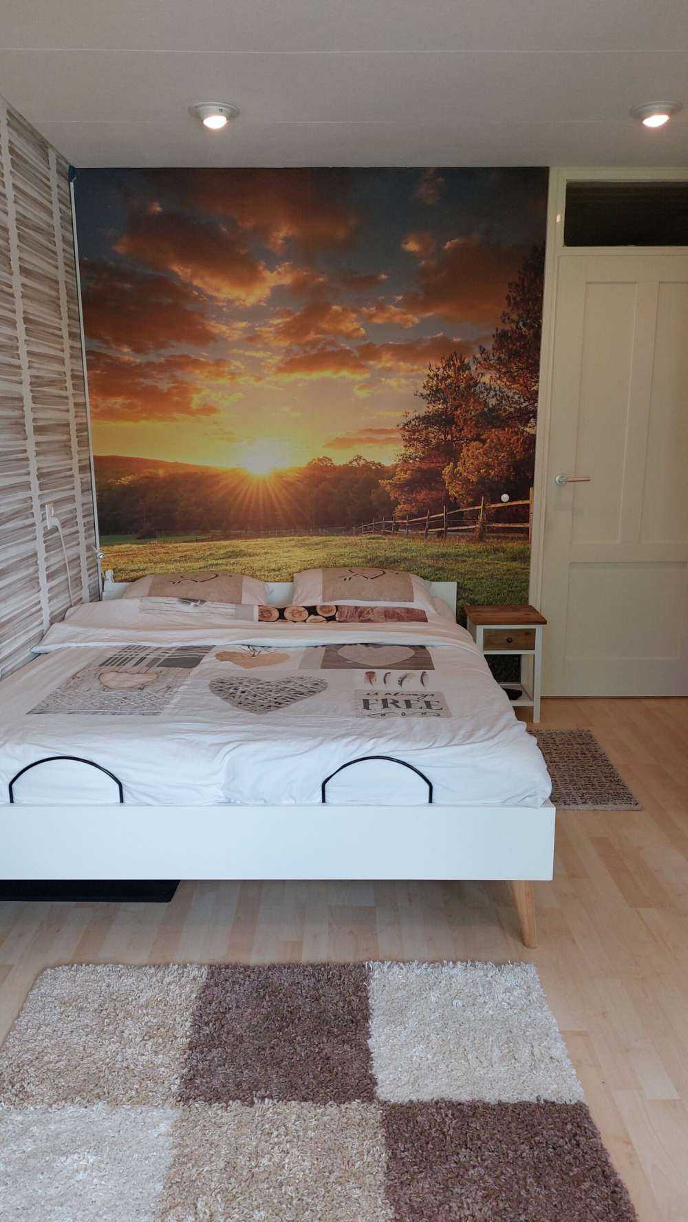 Weide mit Sonnenuntergang