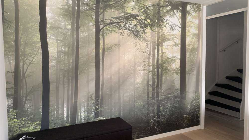Grüner Wald im Nebel
