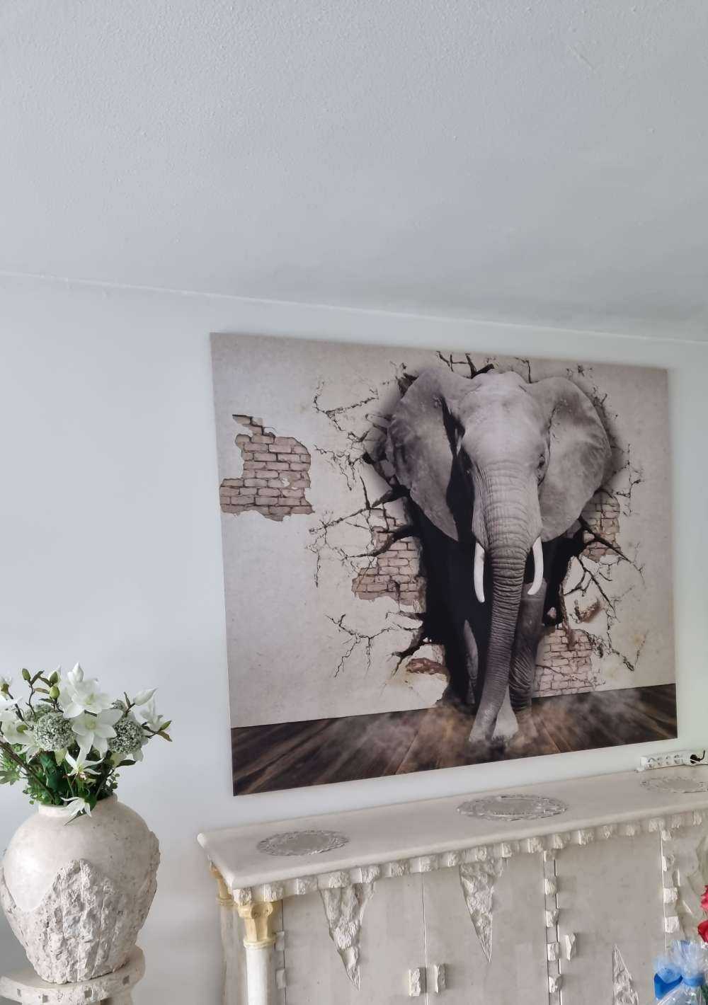 3D Elefant auf Fototapete
