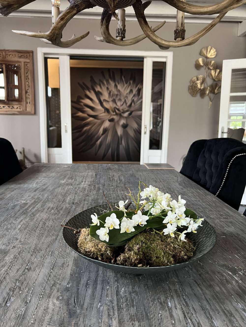 Dahlie Blume schwarz und weiß