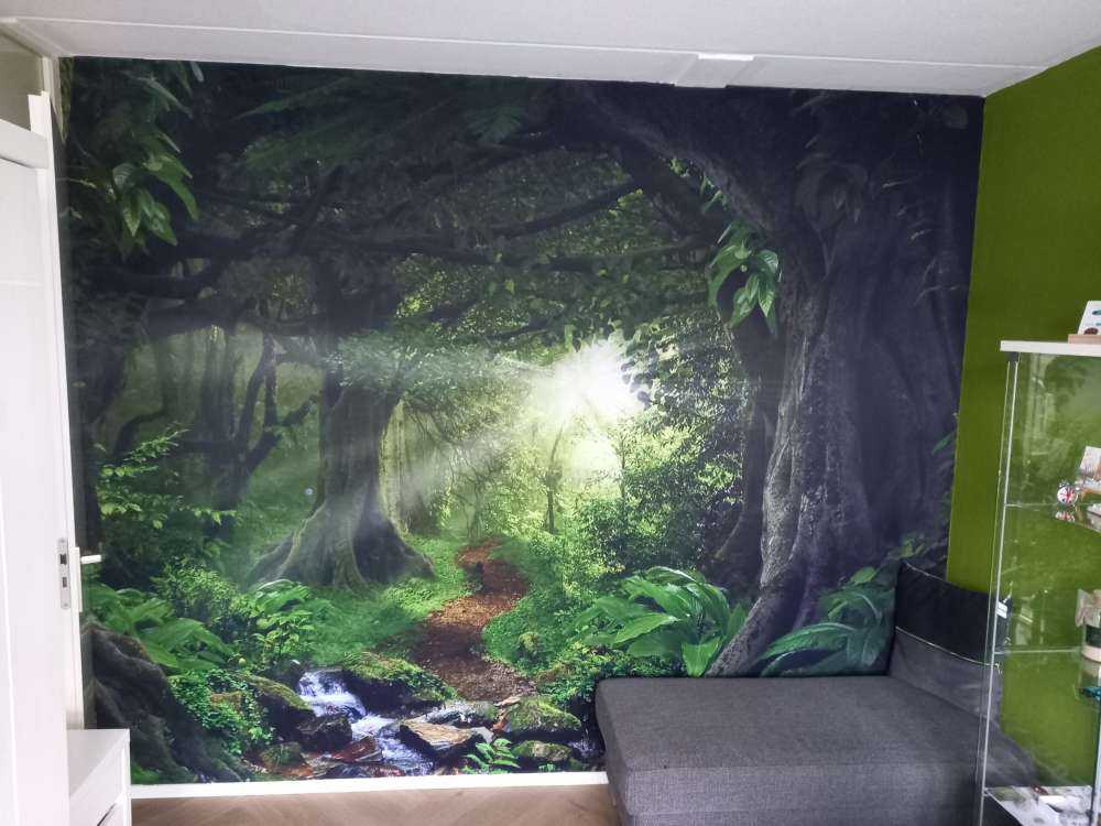 Tropischer Dschungel mit Sonnenlicht