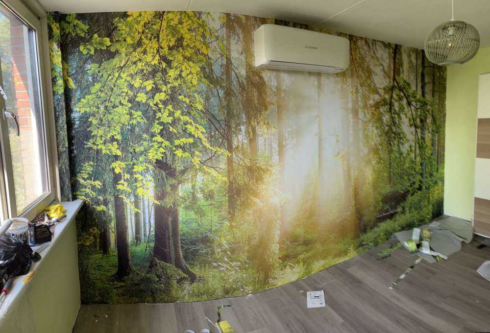 Waldlandschaft bei Sonnenaufgang