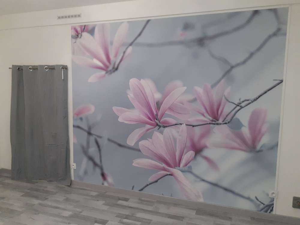 Magnolien Blumen