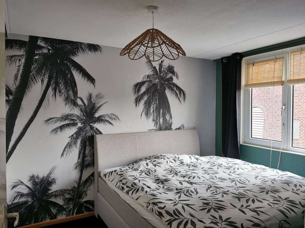 Palmen in Schwarz und Weiß