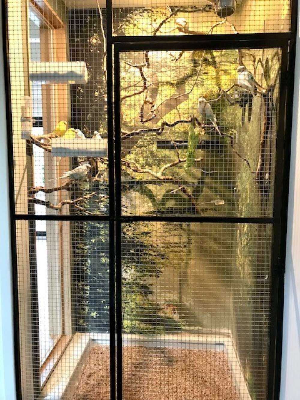 Sonnenstrahlen durch die Bäume