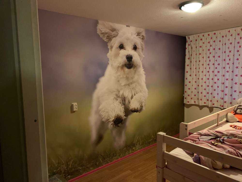 Laufender Hund