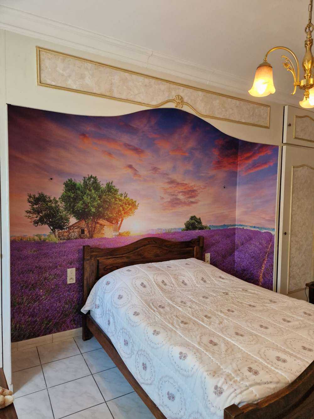 Lavendelfeld bei Sonnenaufgang