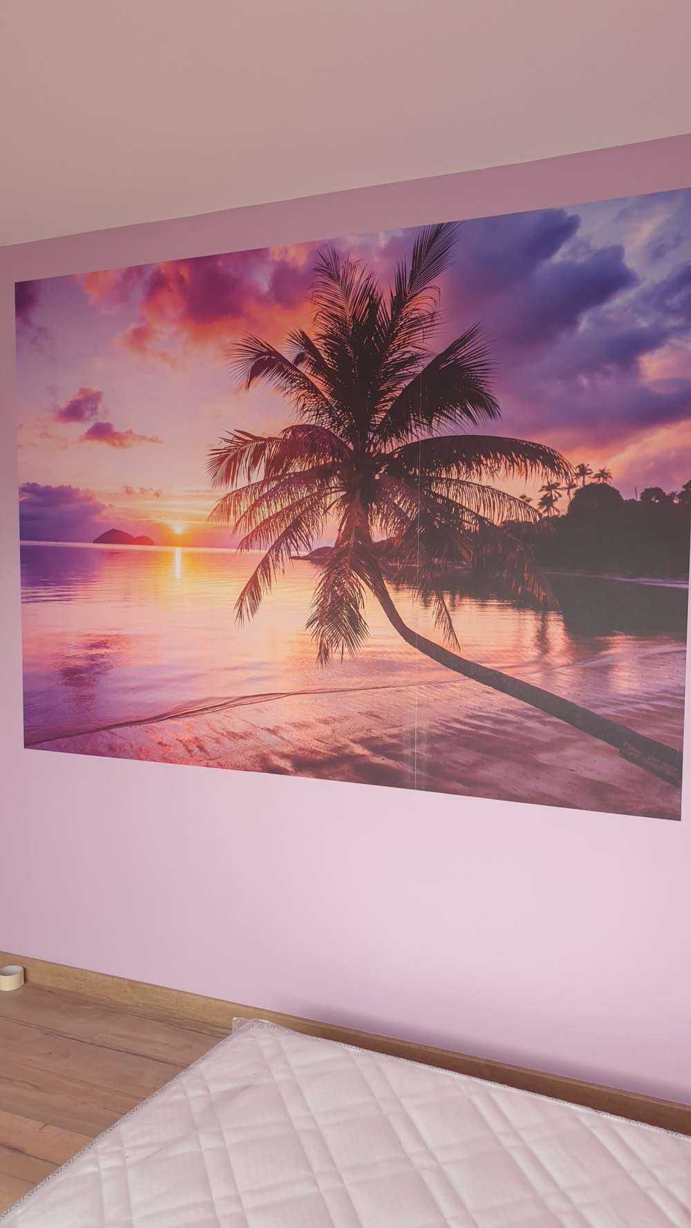 Palme bei einem Sonnenuntergang