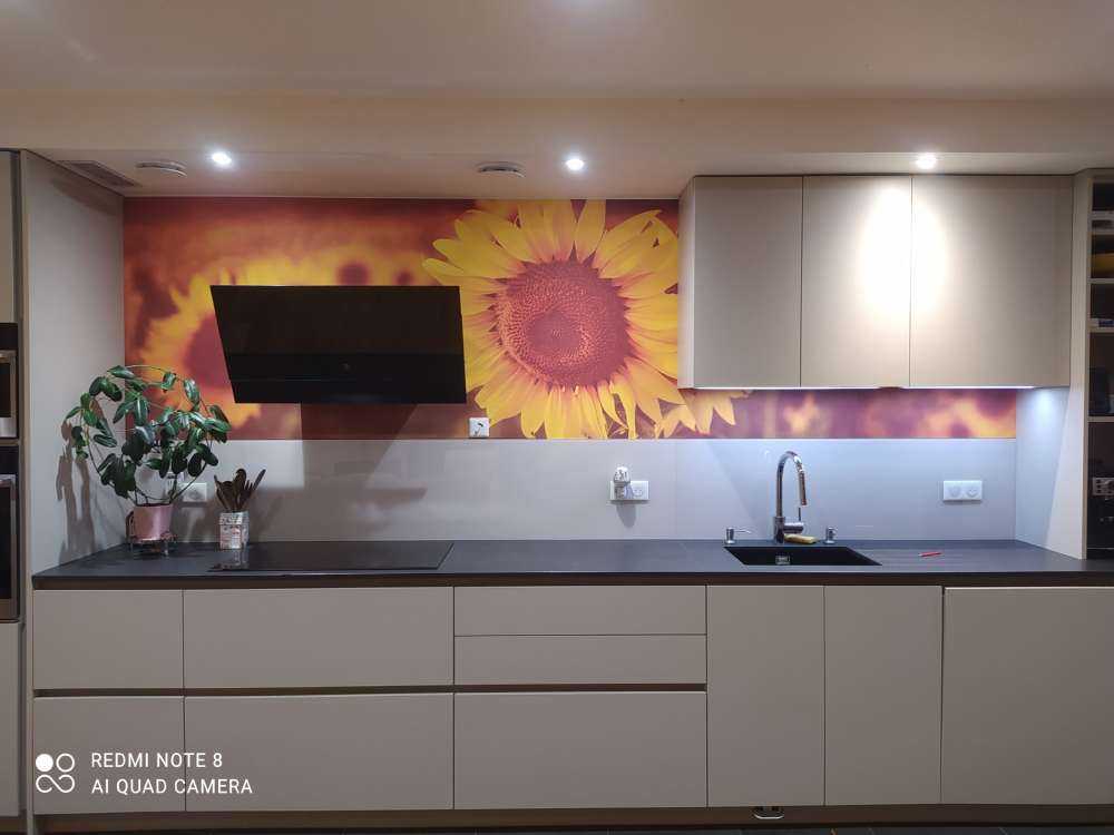 Sonnenblumen im Sonnenlicht